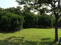 Greenside Pension 30/64