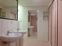 Pineapple Backpackers Hostel 19/37