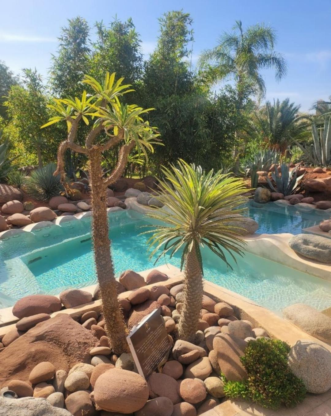 Eden Lodges & Spa-Boutique Hotel de Luxe in MARRAKECH