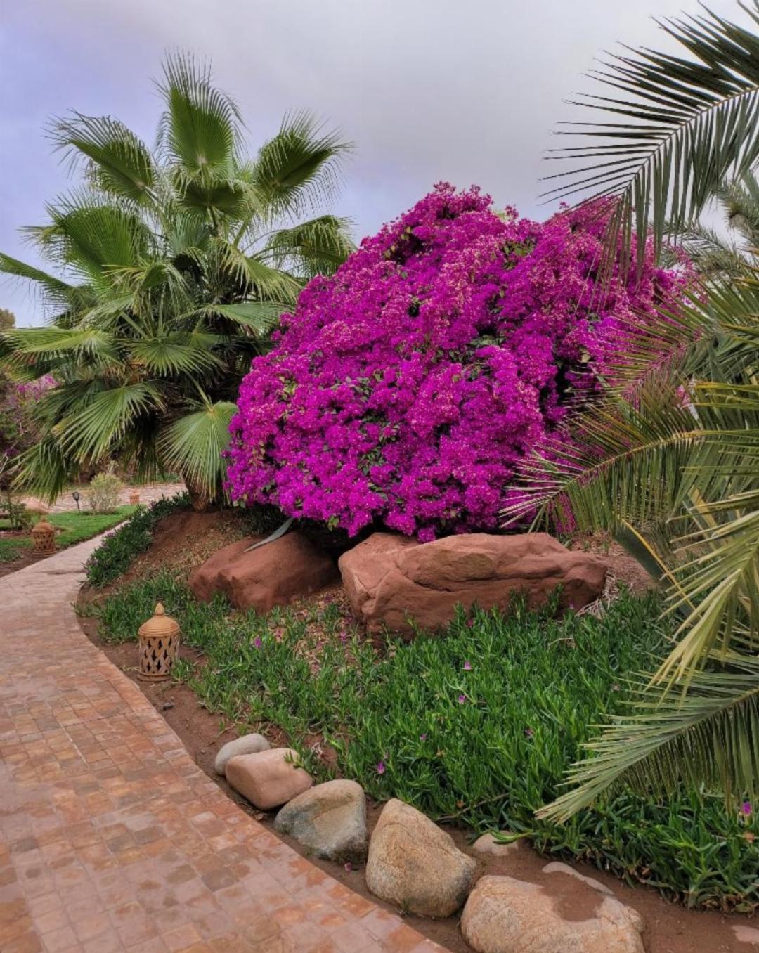 Eden Lodges & Spa-Boutique Hotel de Luxe 8/68