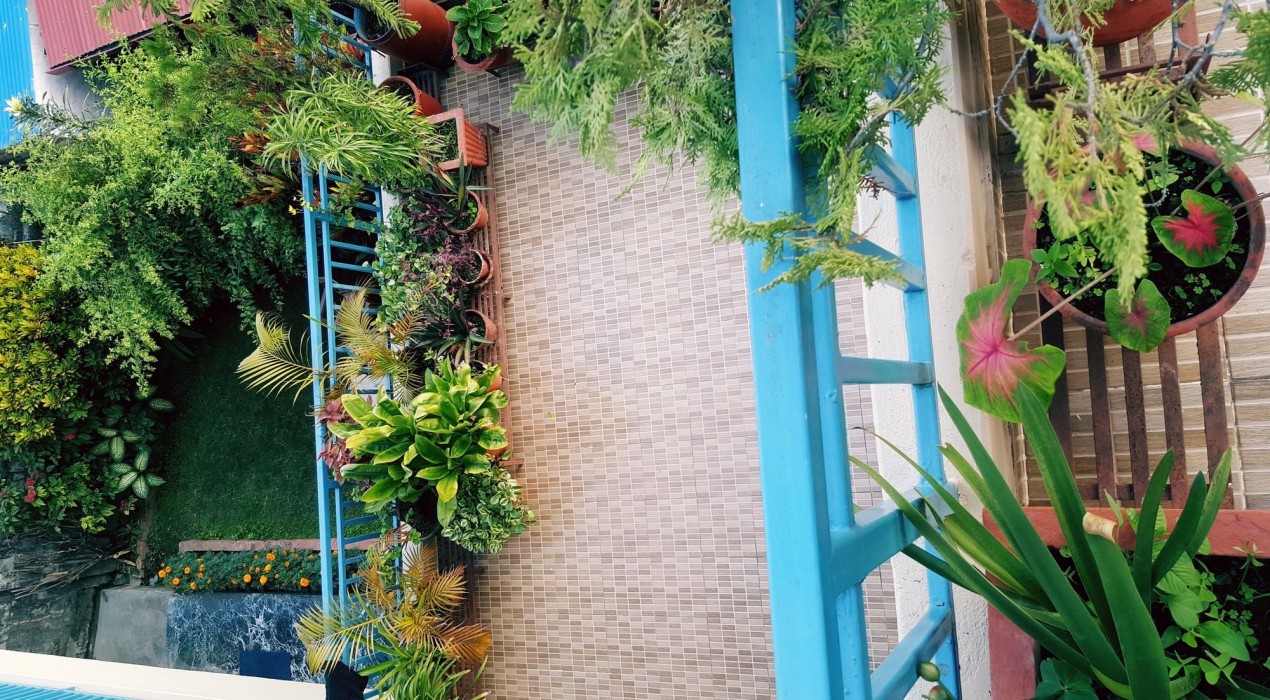 Nanohana Lodge 28/58