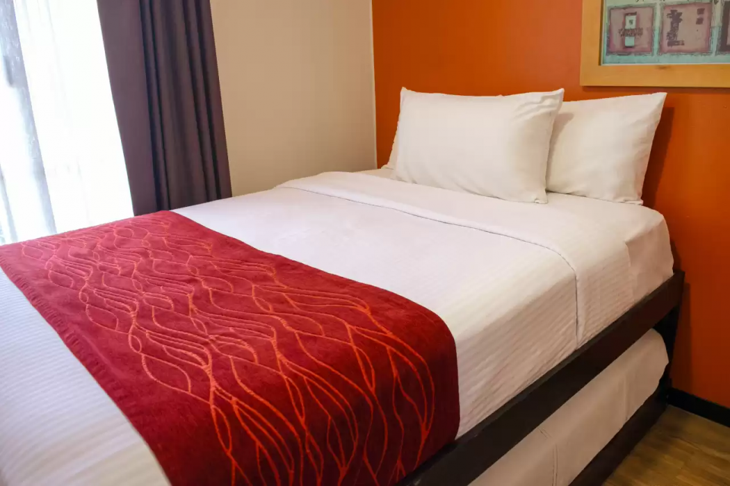 Comfort Inn San Luis Potosi 18/34