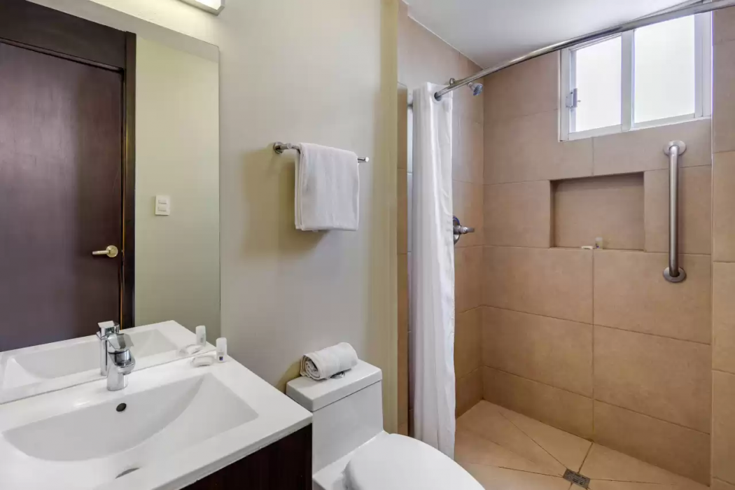 Comfort Inn San Luis Potosi 17/34