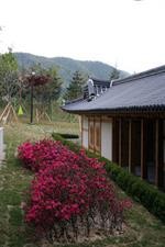 Gyeongju Ragung Hotel 31/42