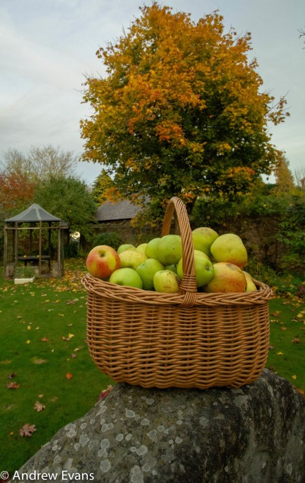 Lea House Bed and Breakfast 33/56