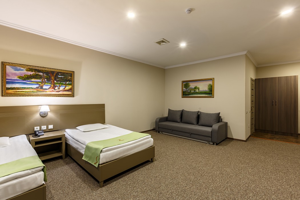 Renion Hotel Almaty 22/80