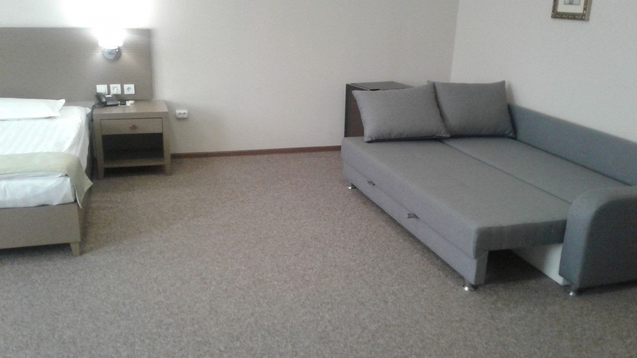 Renion Hotel Almaty 19/80