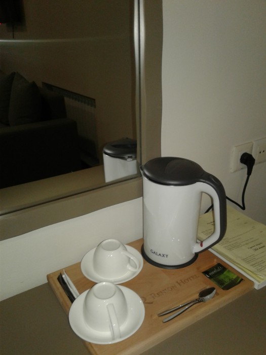 Renion Hotel Almaty 38/80