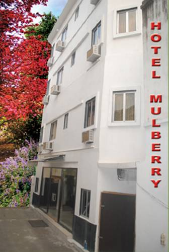Hotel Mulberry, Kolkata