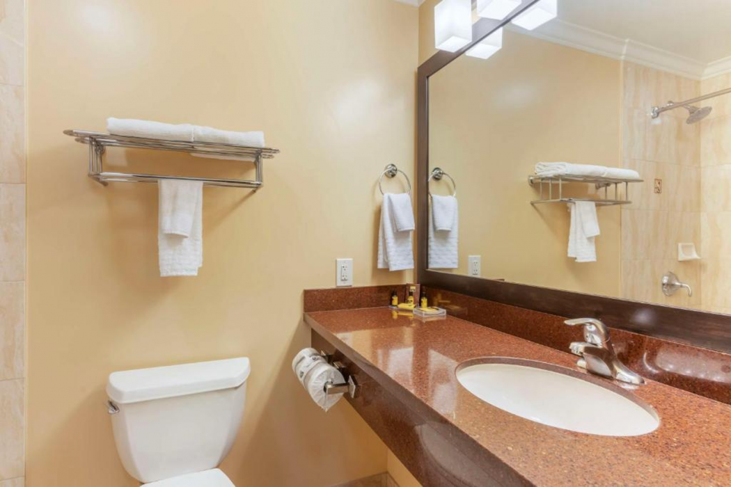 Best Western Plus Airport Plaza 16/36