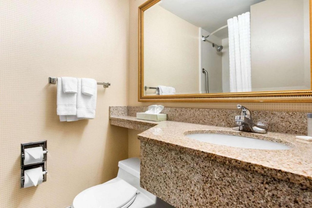 Quality Inn & Suites Charleston - Civic Center 17/28