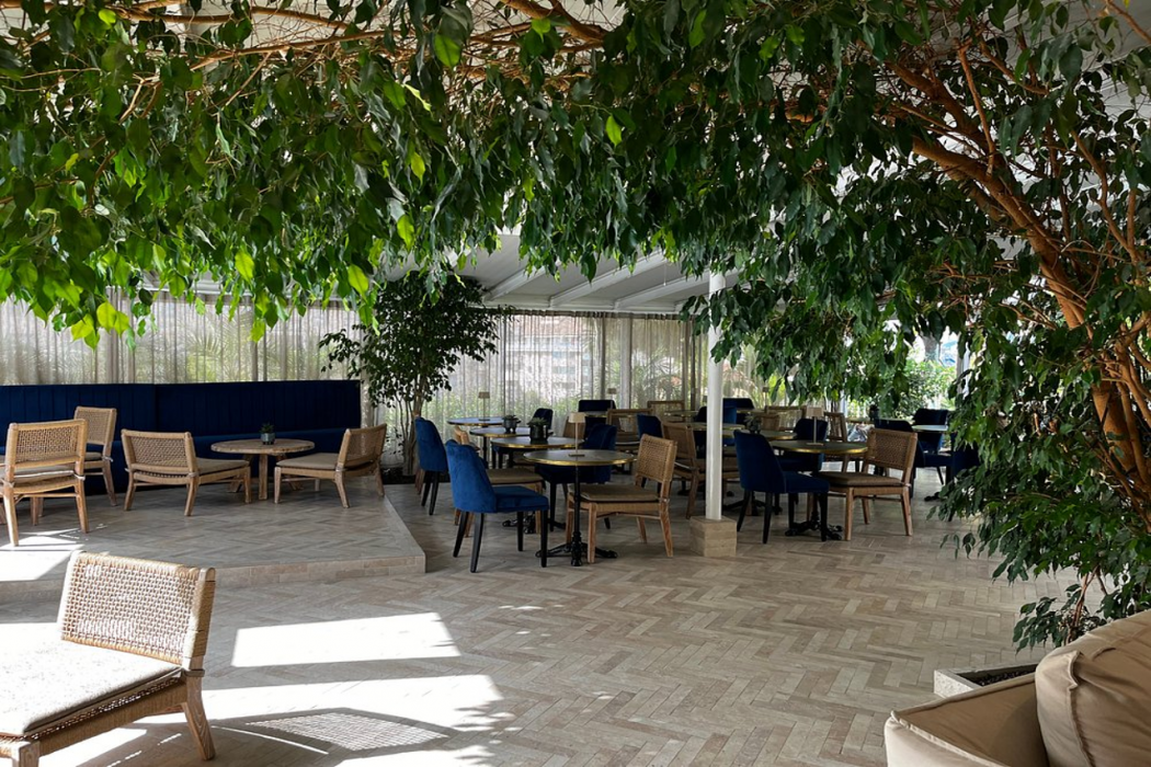 Hotel Le Suquet Cannes 3/18