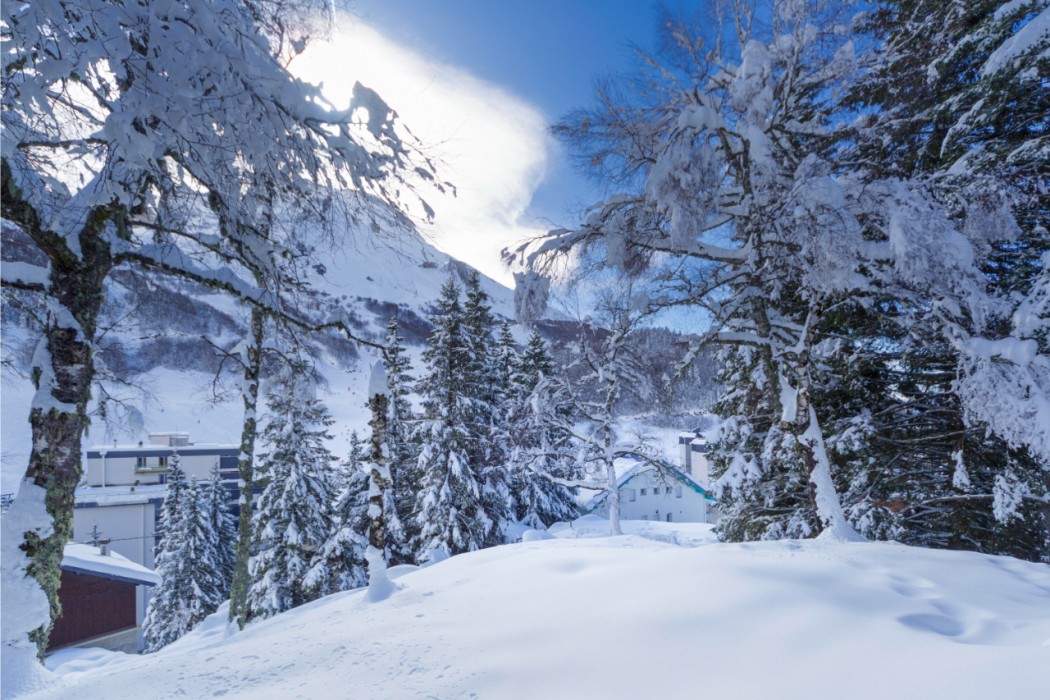 Belambra Club Gourette Lou Sarri - Winter & Summer in EAUX-BONNES