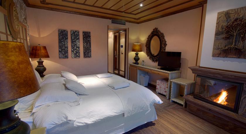 Aroma Dryos Design Hotel 12/52