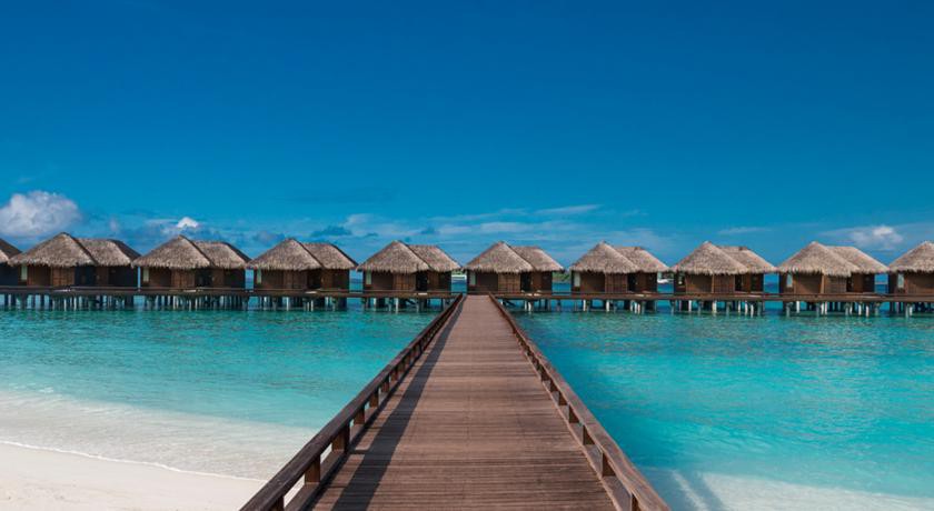 Sheraton Maldives Full Moon Resort & Spa 1/69