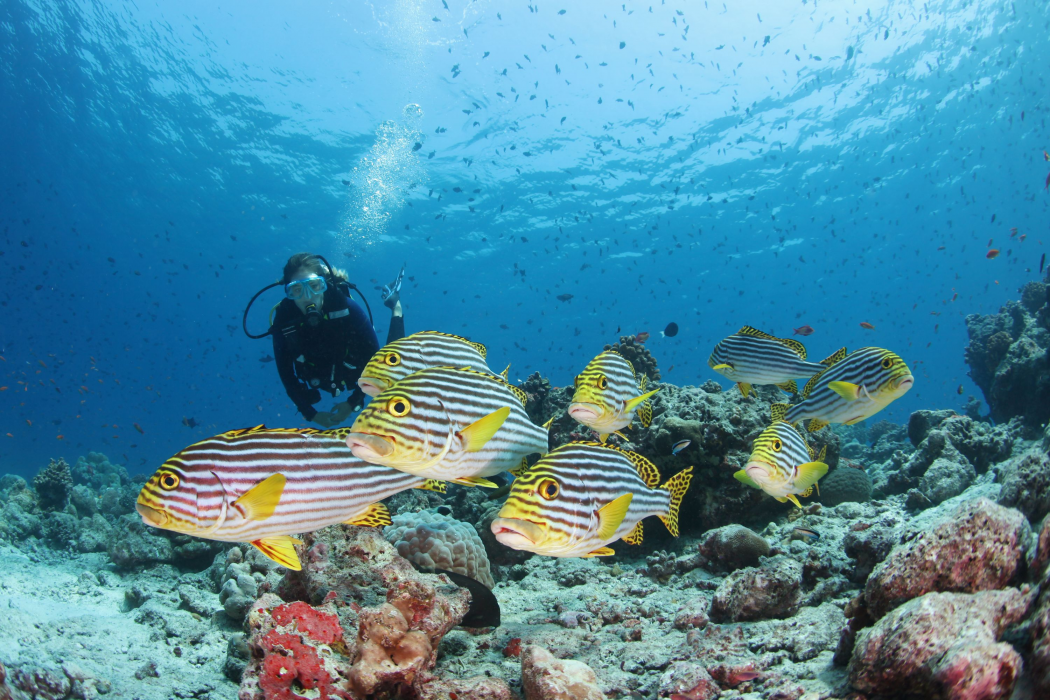 Conrad Maldives Rangali Island 64/113