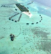 Gili Lankanfushi Maldives 1/14