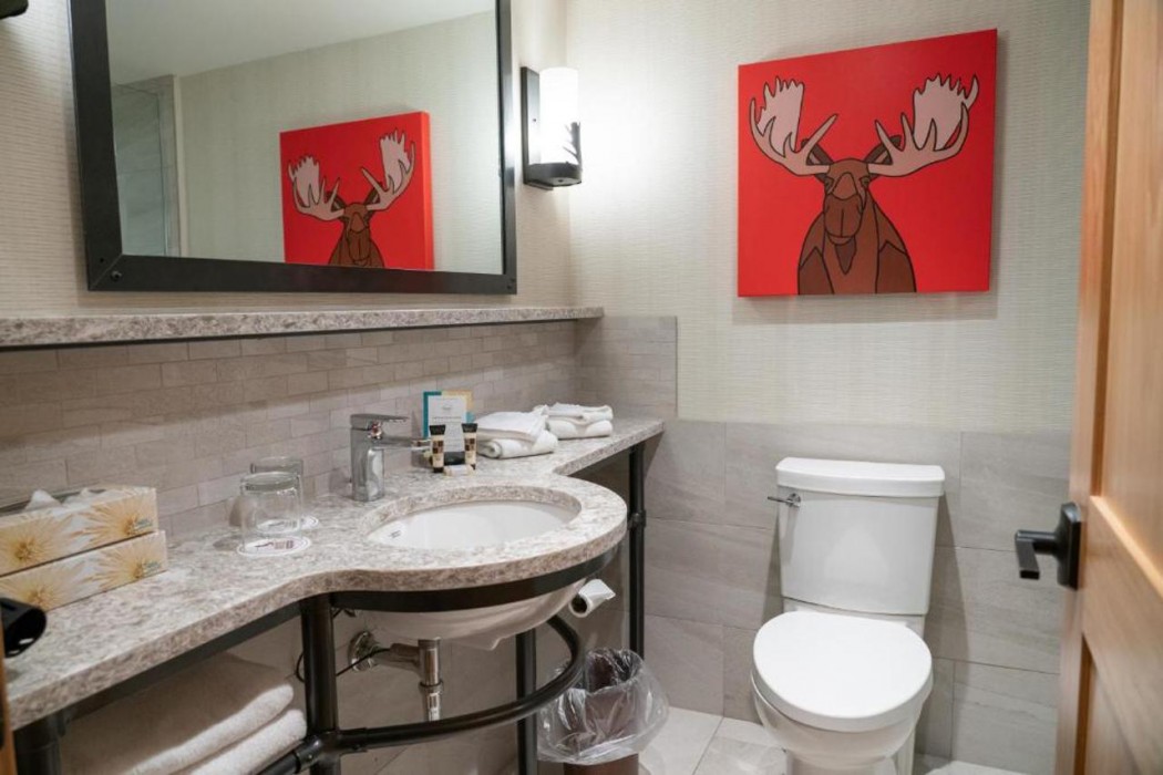 Moose Hotel And Suites 19/66
