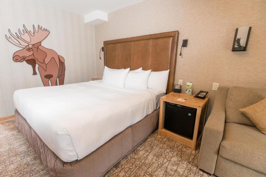 Moose Hotel And Suites 16/66