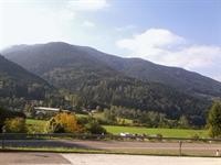 HOTEL REGINA DELLE DOLOMITI 29/81