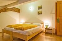 HOTEL REGINA DELLE DOLOMITI 49/81