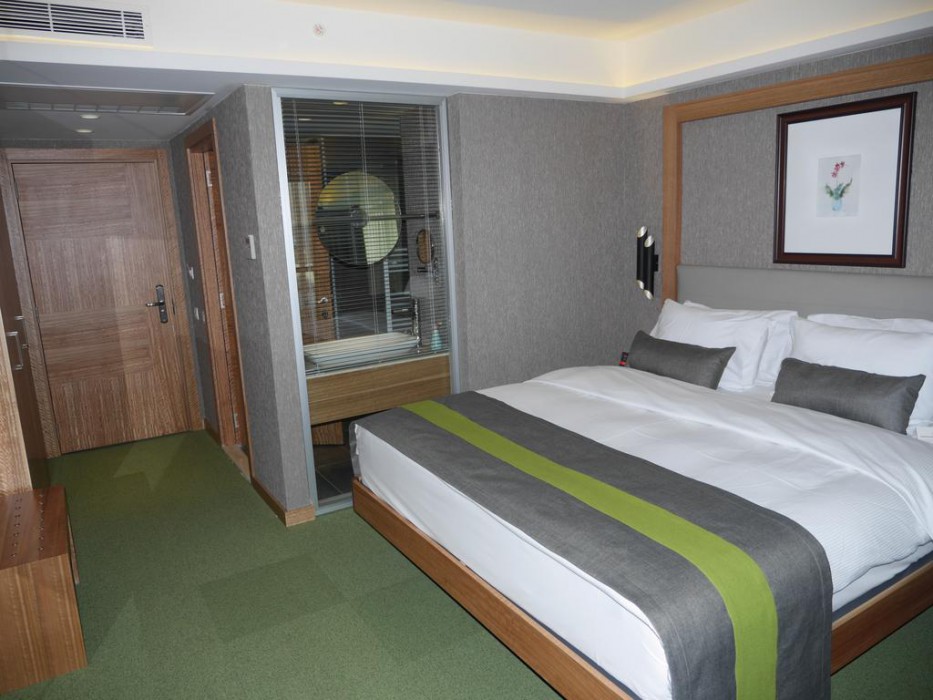 THE CRATER HOTEL 7/24