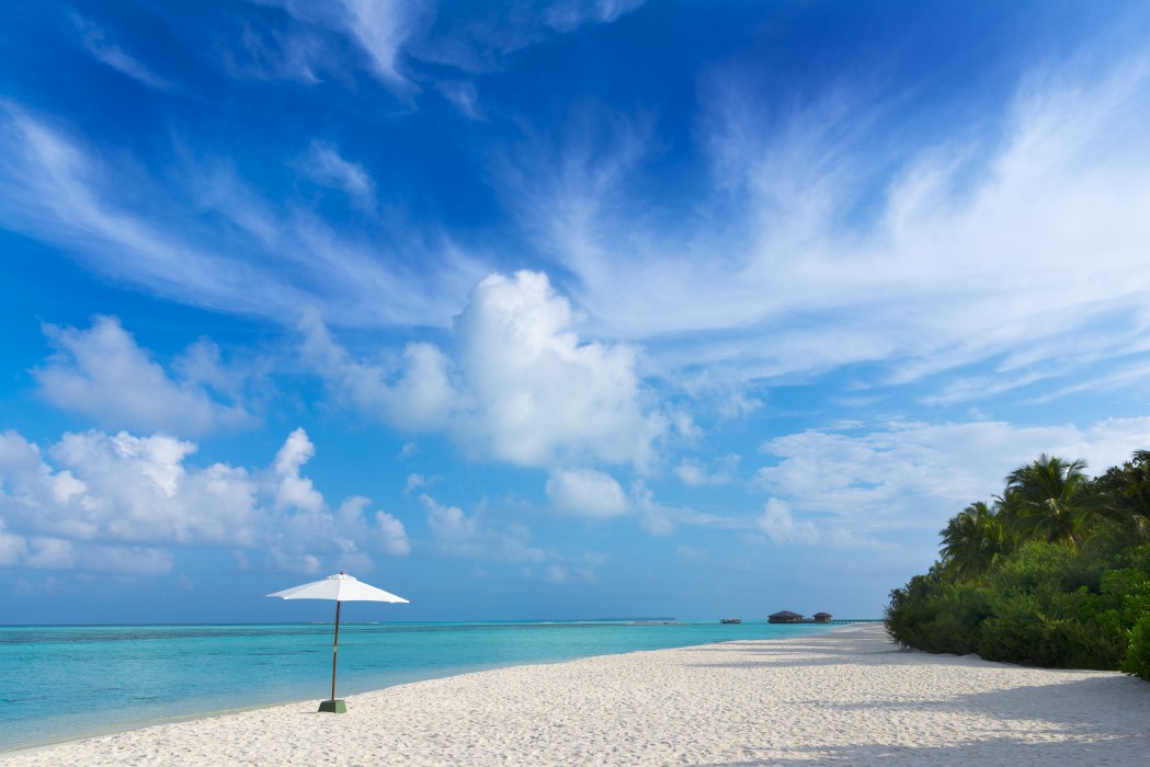 Cocoon Maldives 60/204