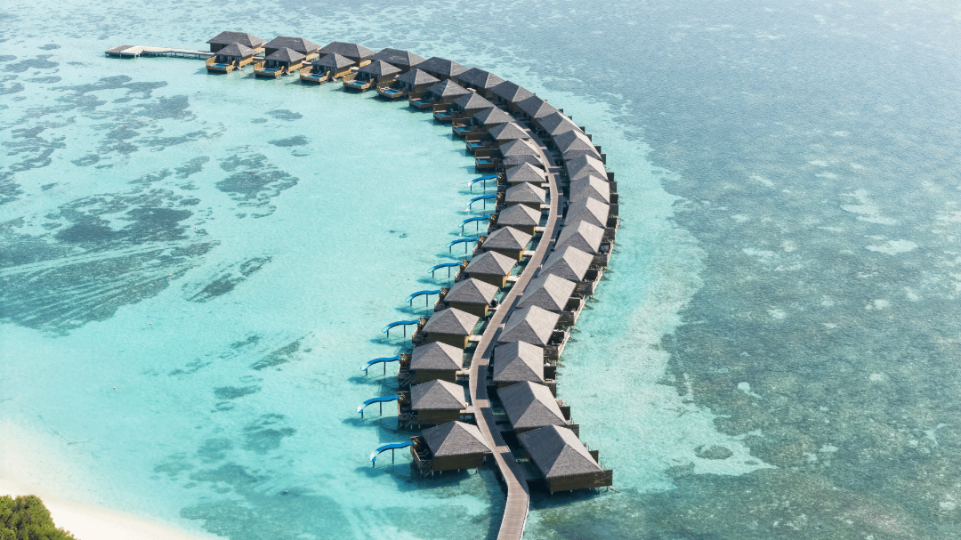 Cocoon Maldives 12/204