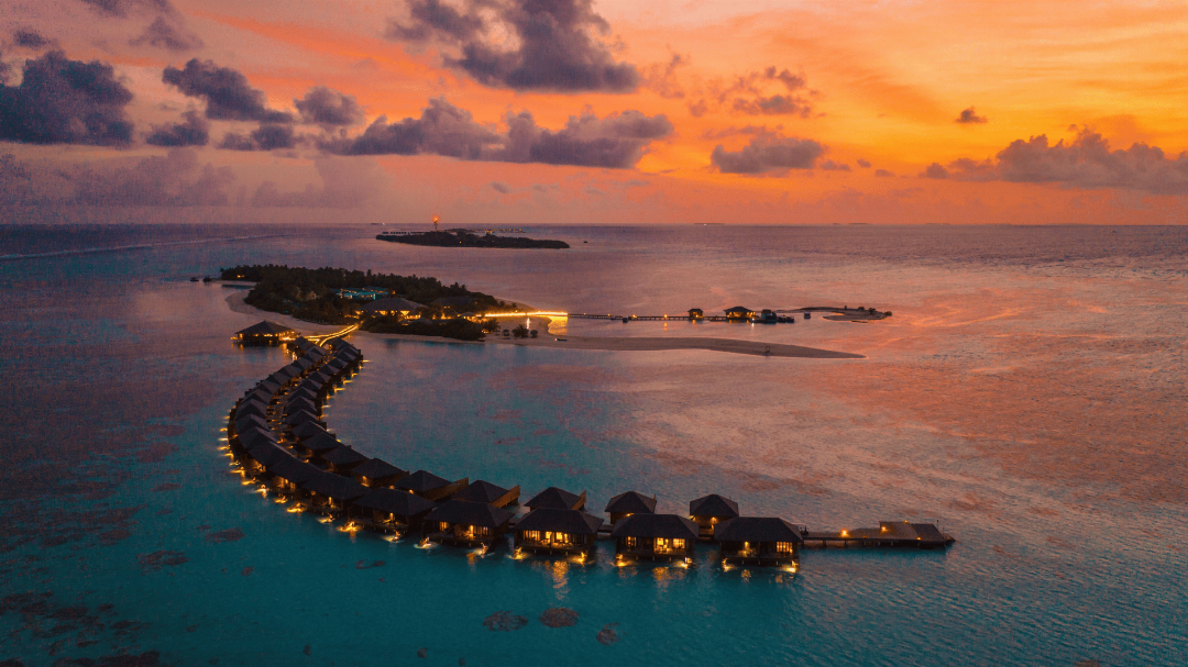 Cocoon Maldives 7/204