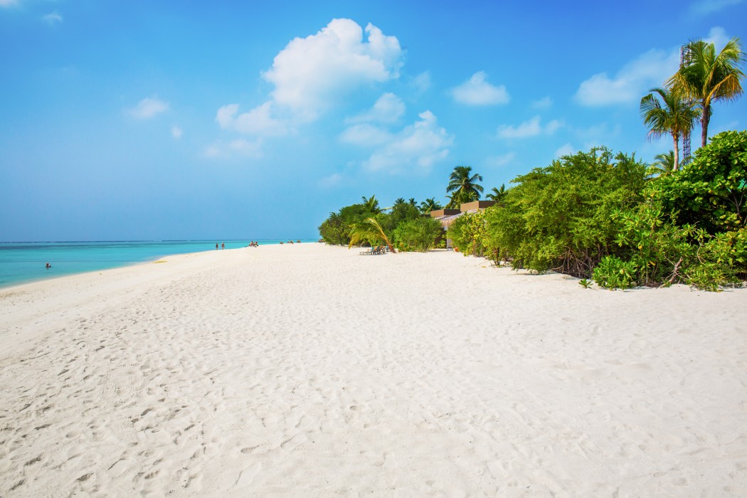 Cocoon Maldives 174/204