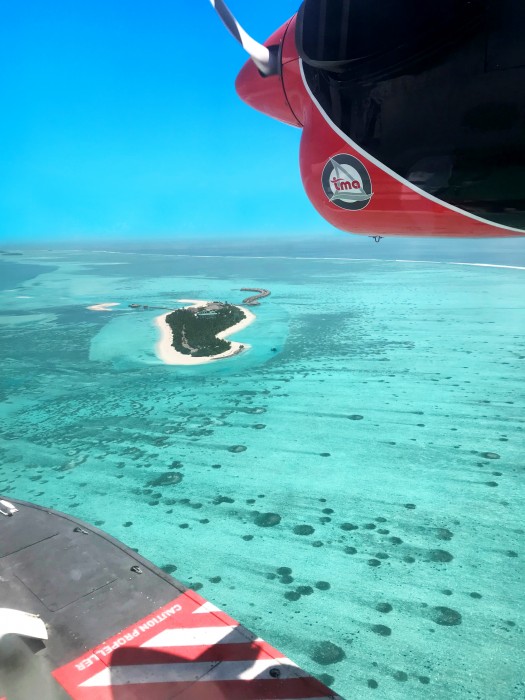 Cocoon Maldives 73/204