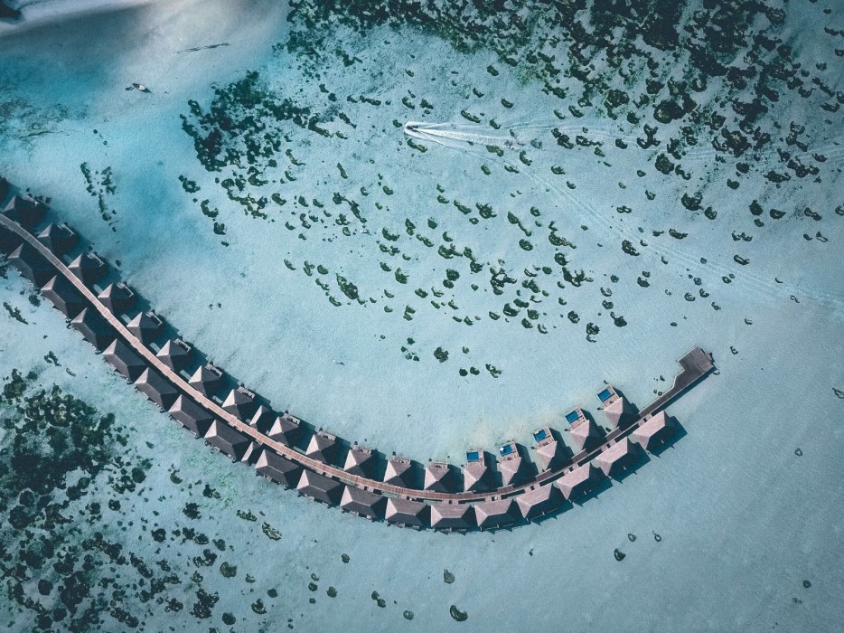 Cocoon Maldives 94/204