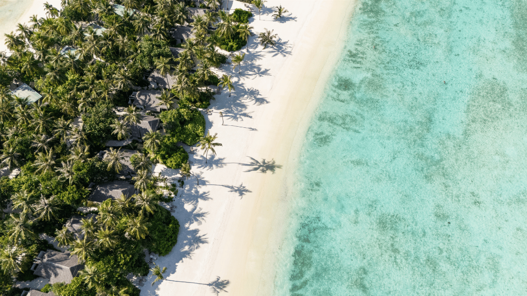 Cocoon Maldives 15/204