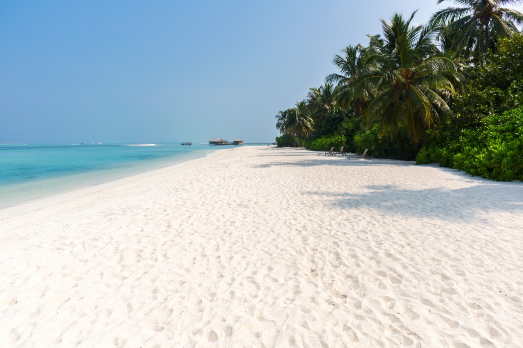 Cocoon Maldives 56/204