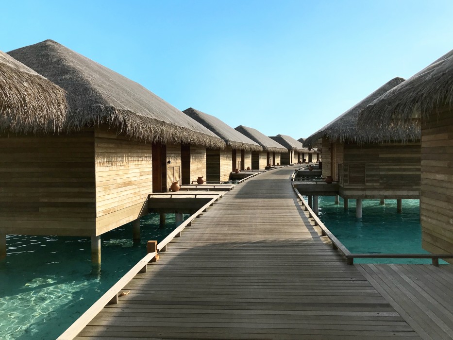 Cocoon Maldives 79/204