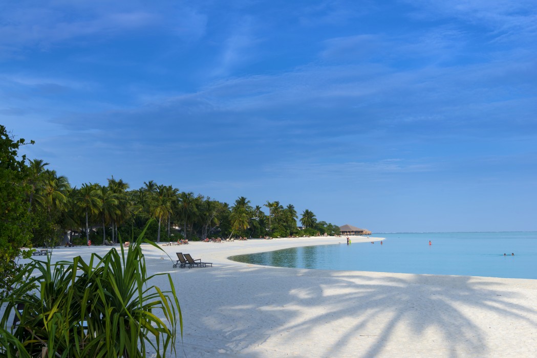 Cocoon Maldives 61/204