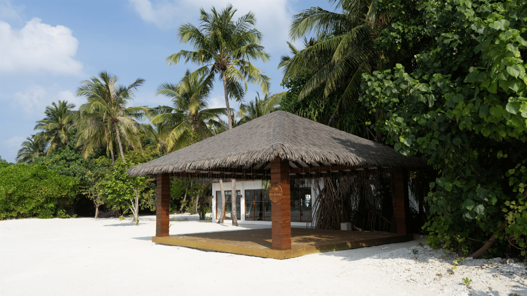 Cocoon Maldives 162/204