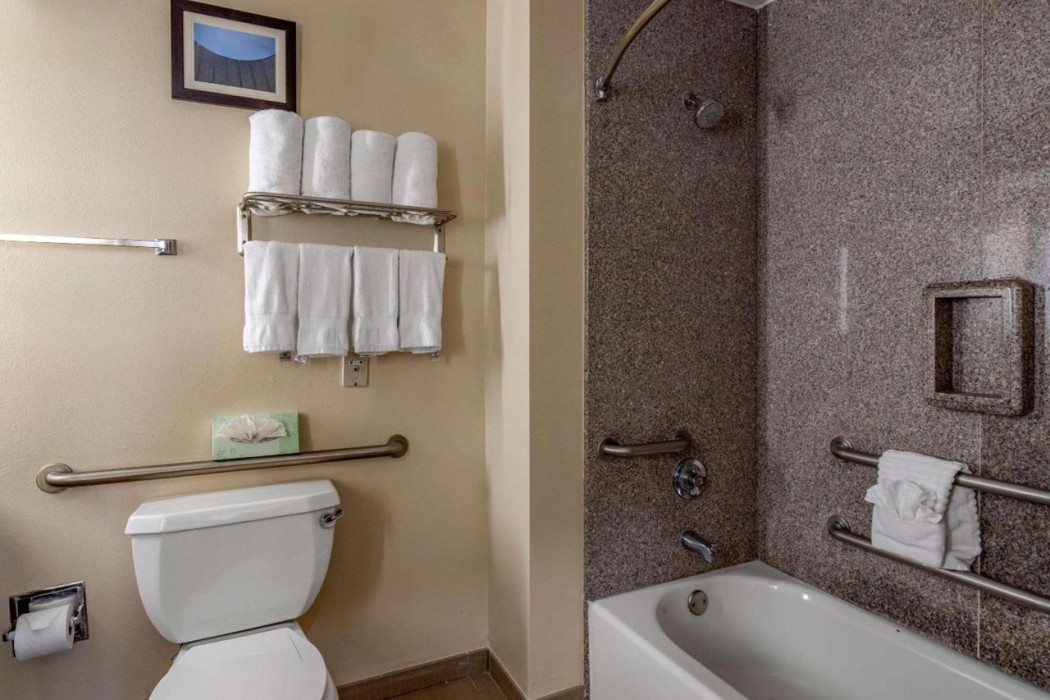 Comfort Suites Houston near Medical Center- NRG Stadium 22/35