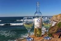 VILLA ANA MARGARIDA BEACH 14/50