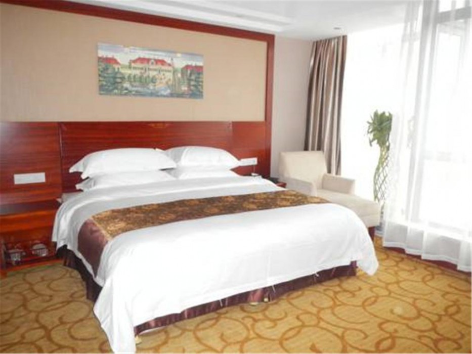 Vienna Hotel Shanghai Pudong Airport New International Expo Center 11/23