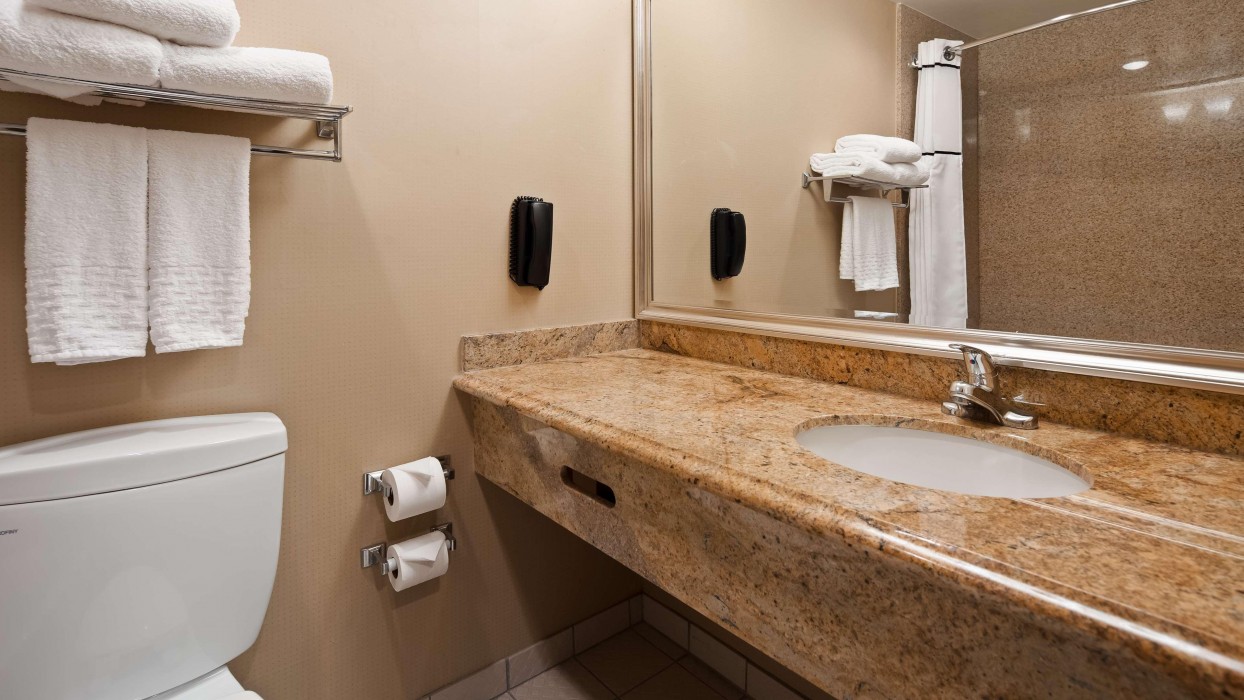 Best Western Plus Newport Mesa Inn 18/47