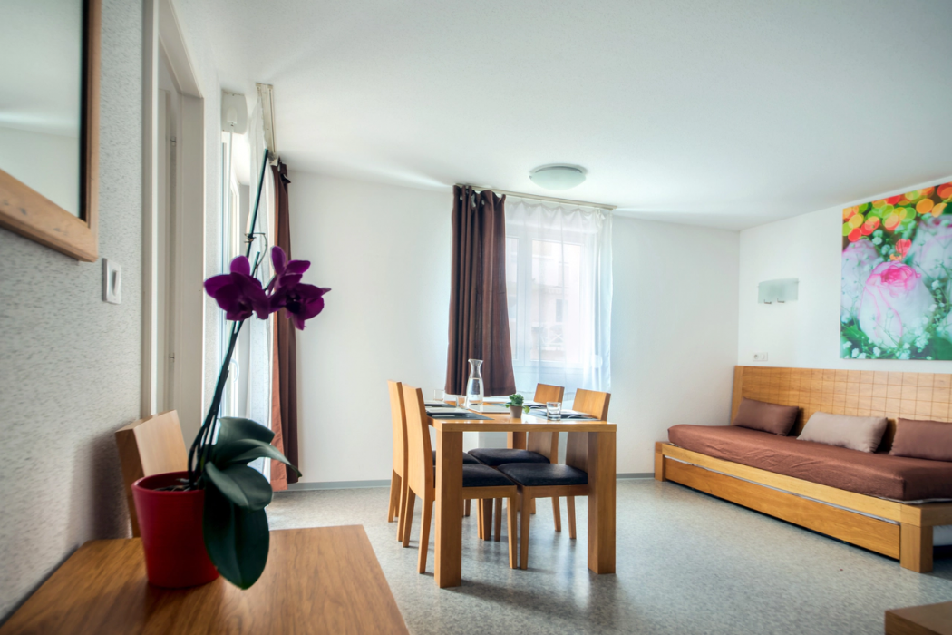 Comfort Aparthotel Mutzig Portes d Alsace 10/11