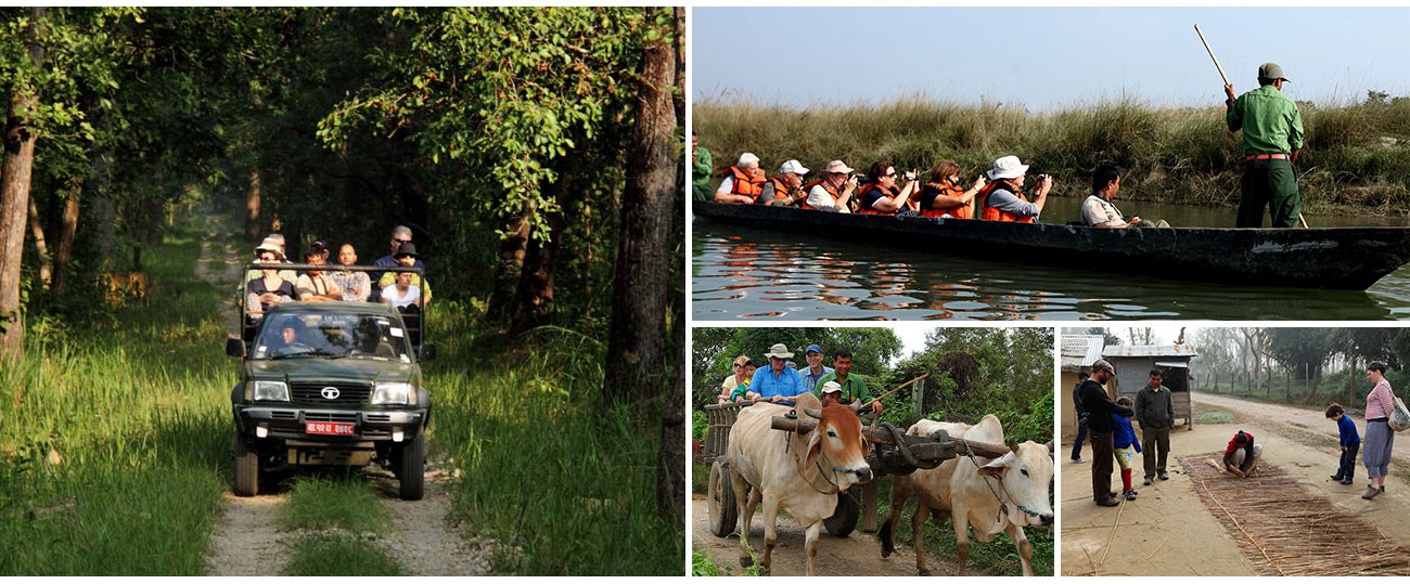 Jungle Villa Resort Chitwan 13/28