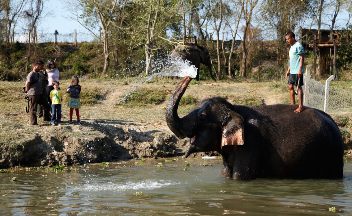 Jungle Villa Resort Chitwan 14/28