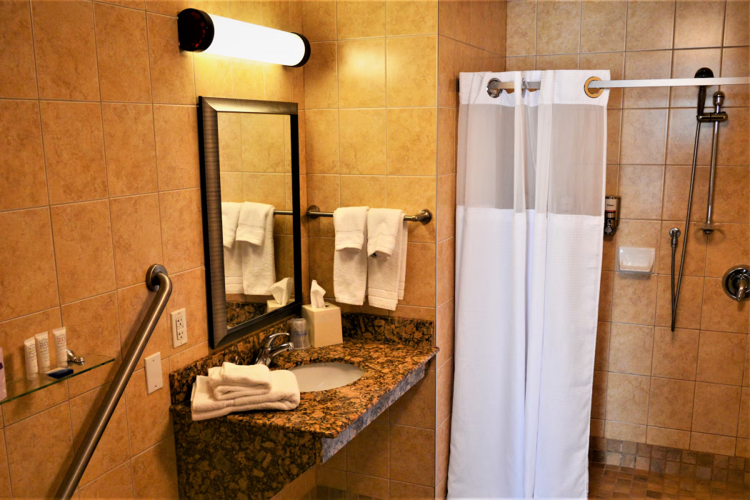 Waterloo Suites Hotel, Trademark Collection by Wyndham 12/34