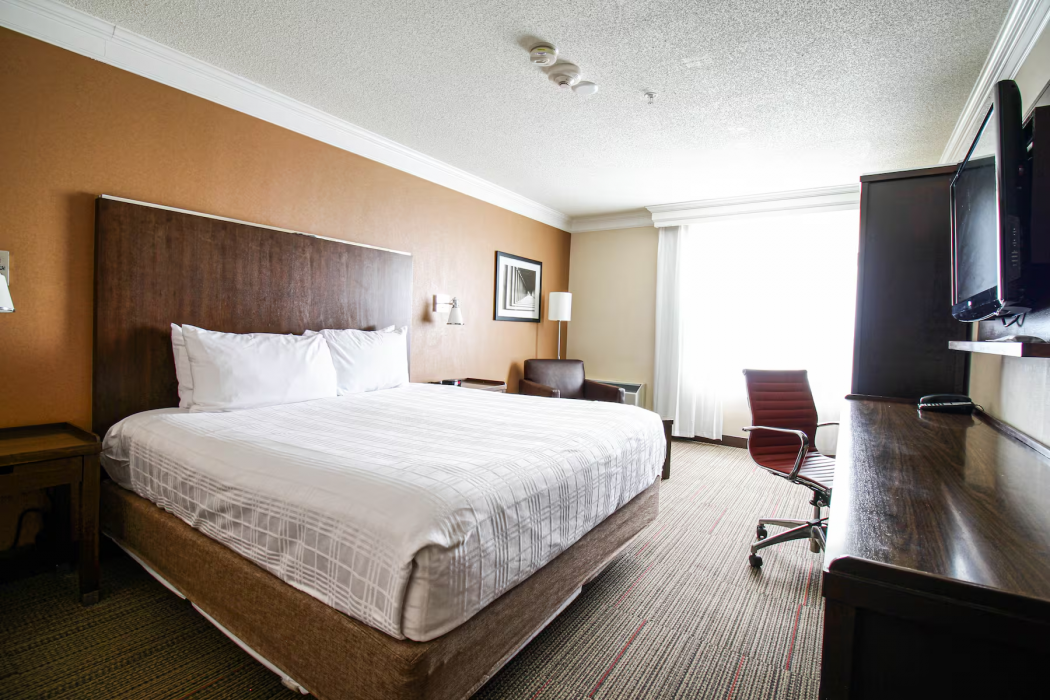 Waterloo Suites Hotel, Trademark Collection by Wyndham 8/34