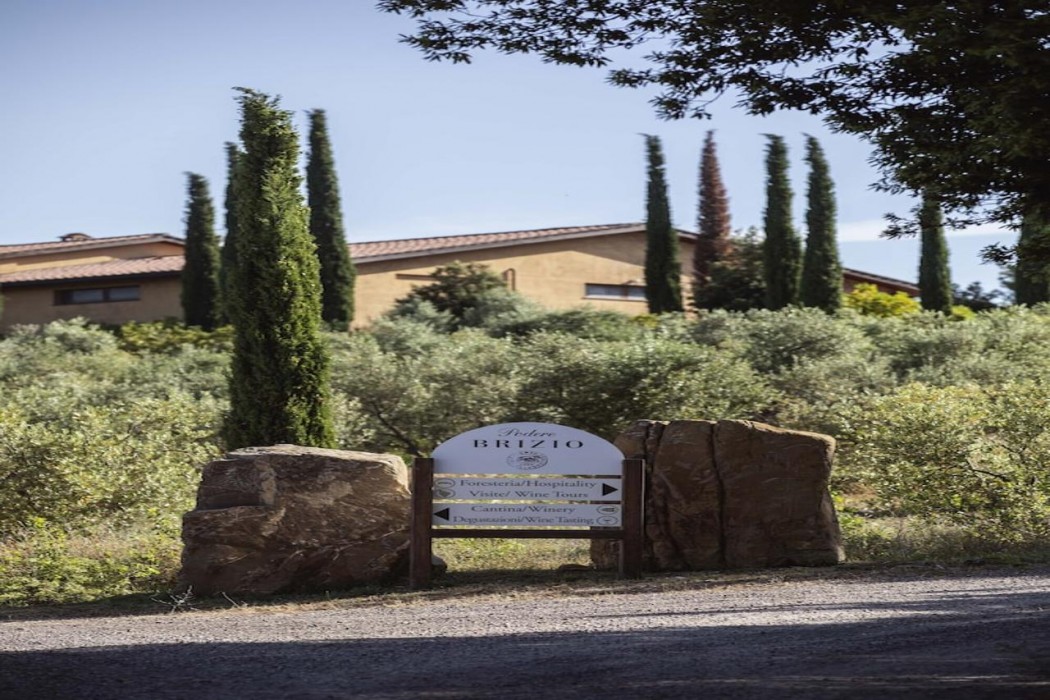 Podere Brizio - Adults Only 4/55