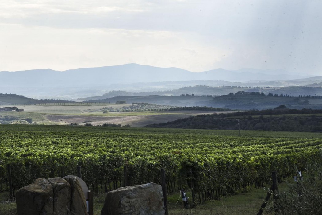 Podere Brizio - Adults Only 24/55