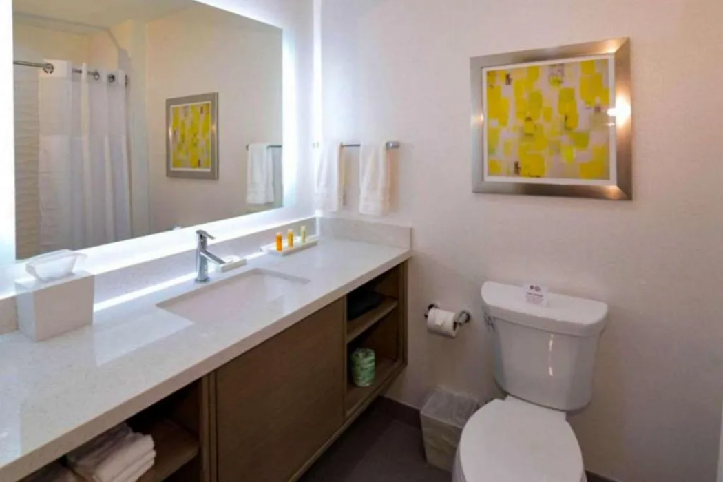 Comfort Inn & Suites Houston I-45 North IAH, TX 10/32