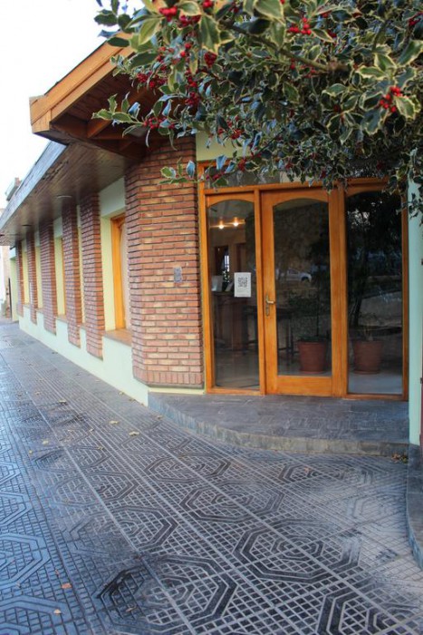 HOSTERIA ANGELINA 1/20